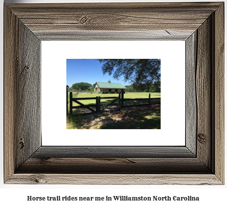 horse trail rides near me in Williamston, North Carolina